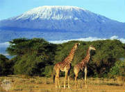 kilimanjaro.jpg